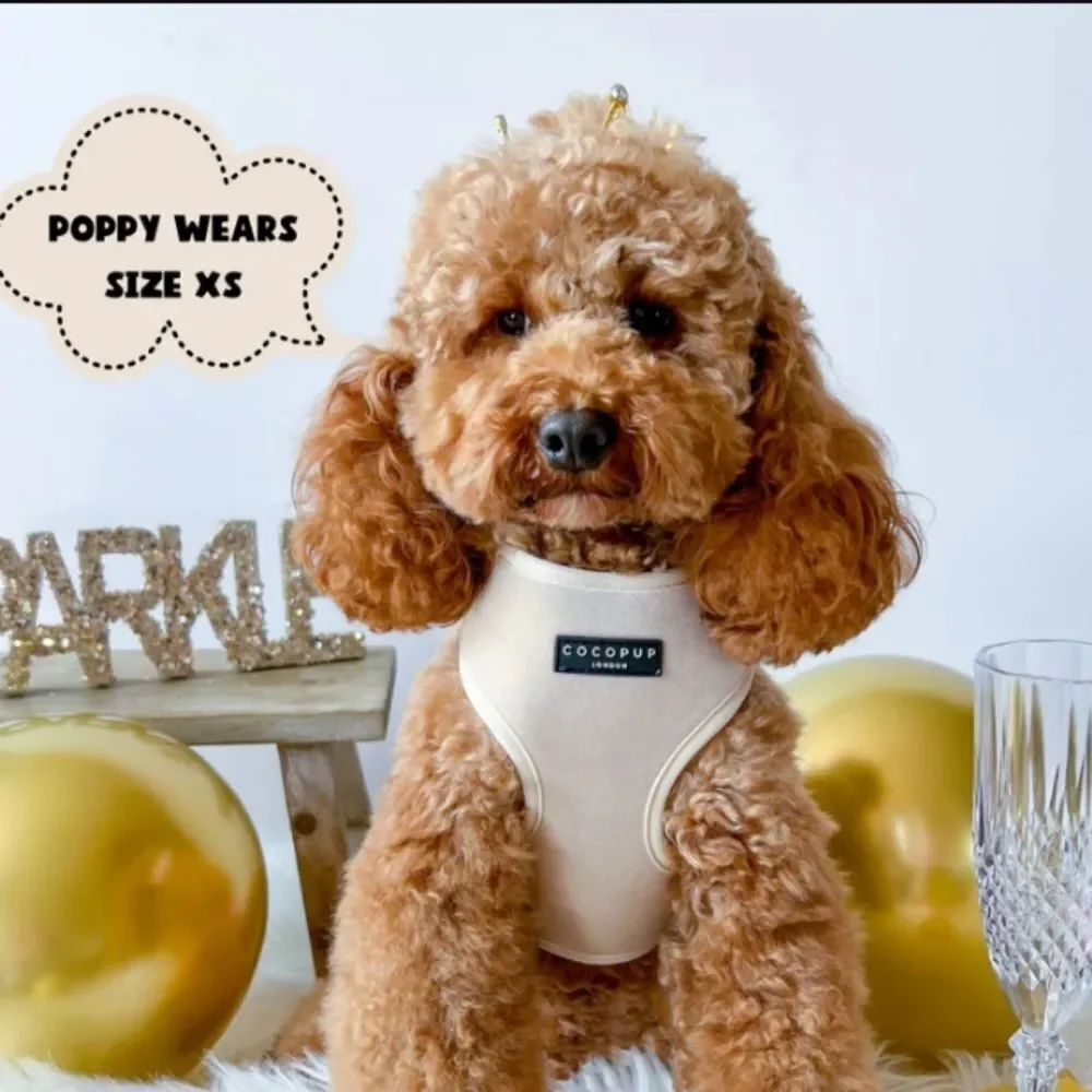 Cocopup Luxe Velvet Adjustable Neck Harness and Leash Set - Champagne Size XS
